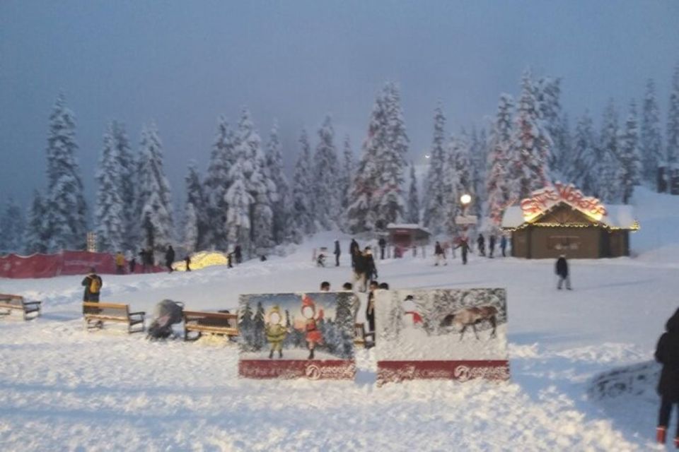 Vancouver Capilano Canyon Light&Peak of Christmas in Grouse - Key Points