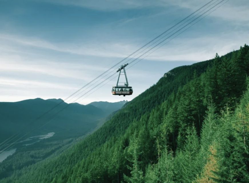 Vancouver: Small Group Tour W/Capilano & Grouse Mtn Lunch - Key Points