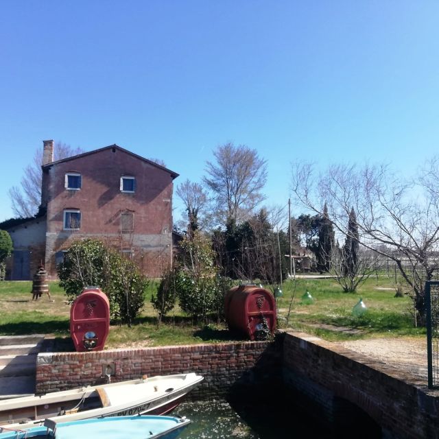 Venice: Bike Tour Honey & Artichokes on Sant'Erasmo Island - Key Points