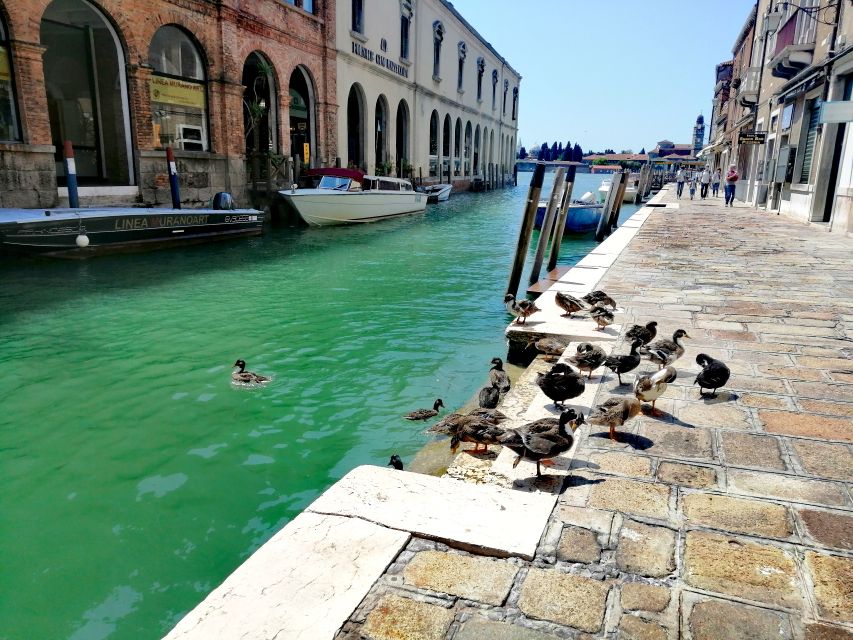 Venice: Mazzorbo, Burano and Murano Island Walking Tour - Key Points