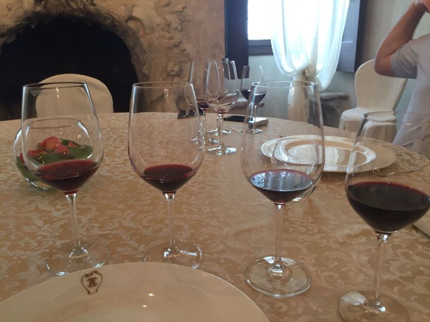 Verona: Amarone Wine Tour With Gourmet Lunch in Roman Villa - Key Points