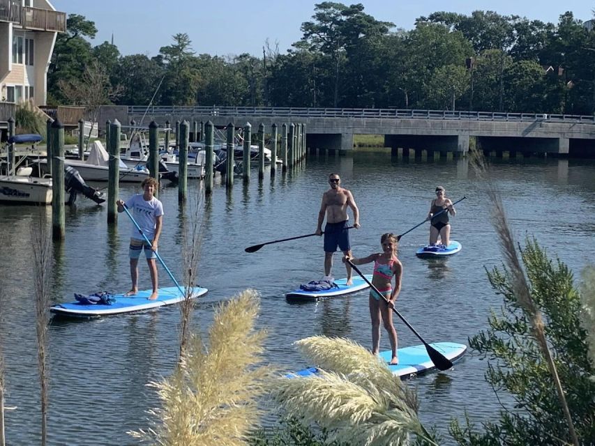 Virginia Beach: Morning Stand-Up Paddleboarding Tour - Key Points