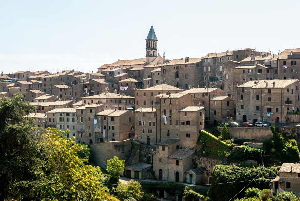 Viterbo: Private Walking Tour - Key Points