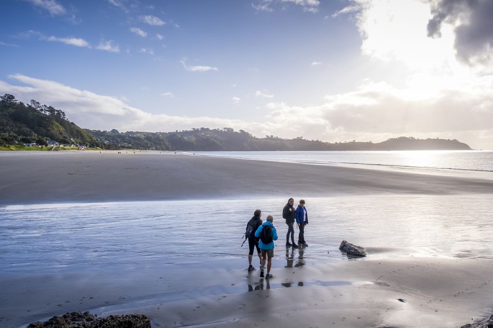 Waiheke Island: Forest and Beach Premium Guided Walk - Key Points