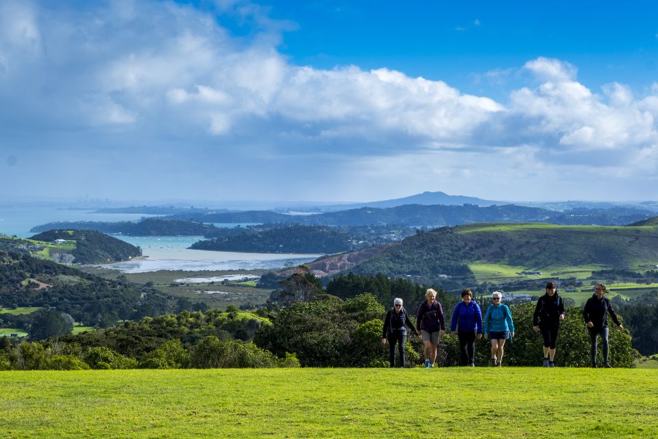 Waiheke Island: Premium Vineyard, Wine Tasting and Bush Walk - Key Points