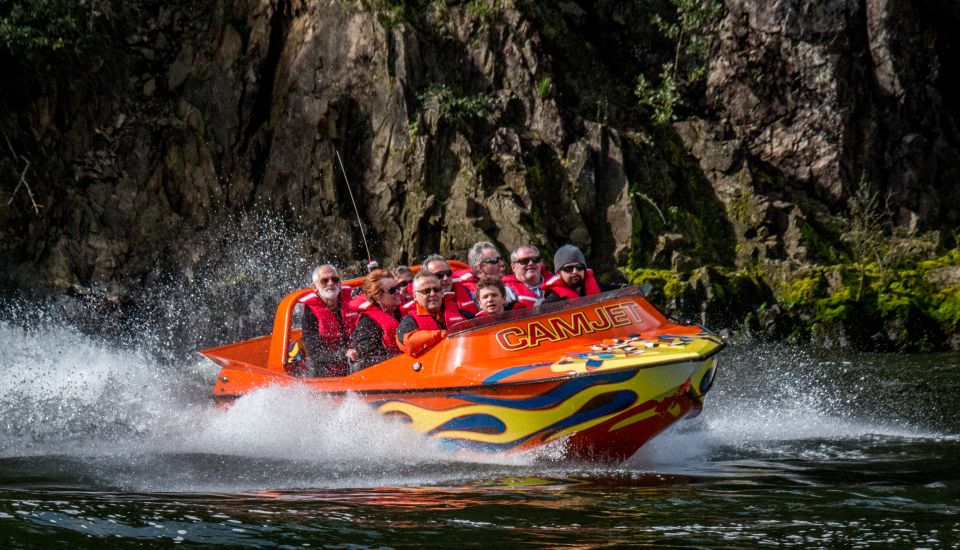 Waikato River: 1-Hour Ecological River Cruise - Key Points