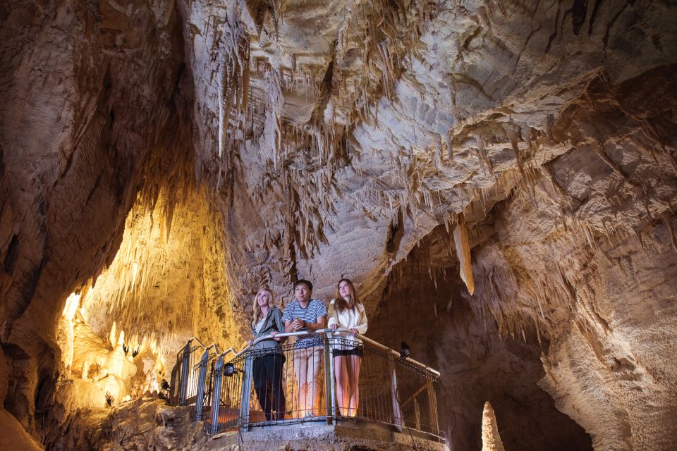 Waitomo: Ruakuri Cave 1.5 Hour Guided Tour - Key Points