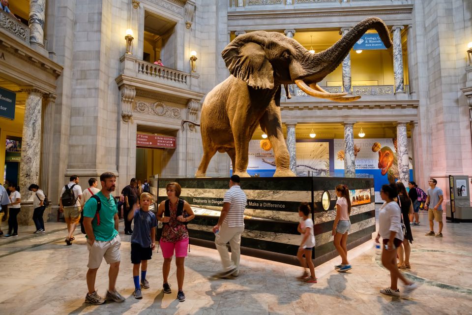 Washington DC: Museum of Natural History Private Guided Tour - Key Points