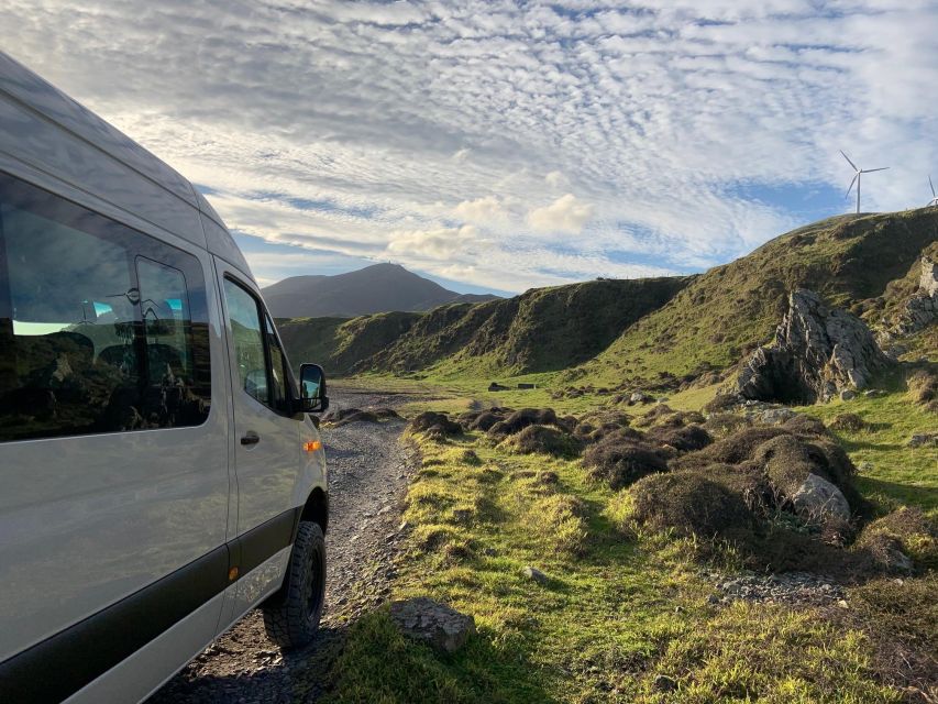 Wellington: Half Day Seal Coast Safari - Key Points