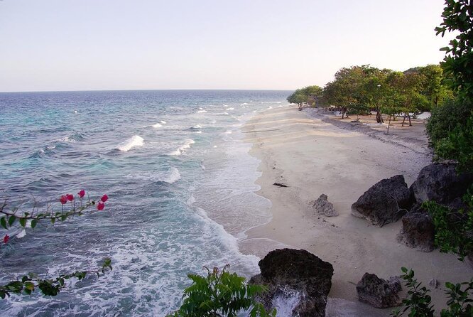 Whale Shark Encounter and Sumilon Sandbar With Kawasan Falls - Key Points
