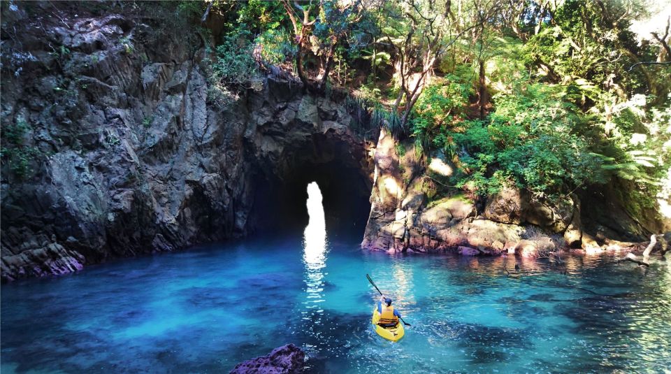 Whangamata: Donut Island Guided Kayaking Experience - Key Points