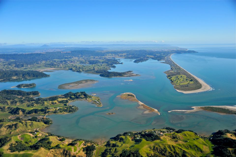 White Island & Whale Island 1-Hour Volcano Scenic Flight - Key Points