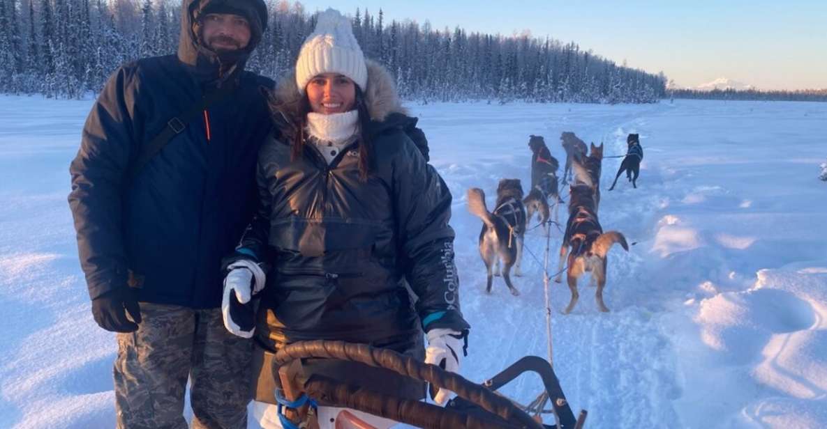 Willow: Traditional Alaskan Dog Sledding Ride - Key Points