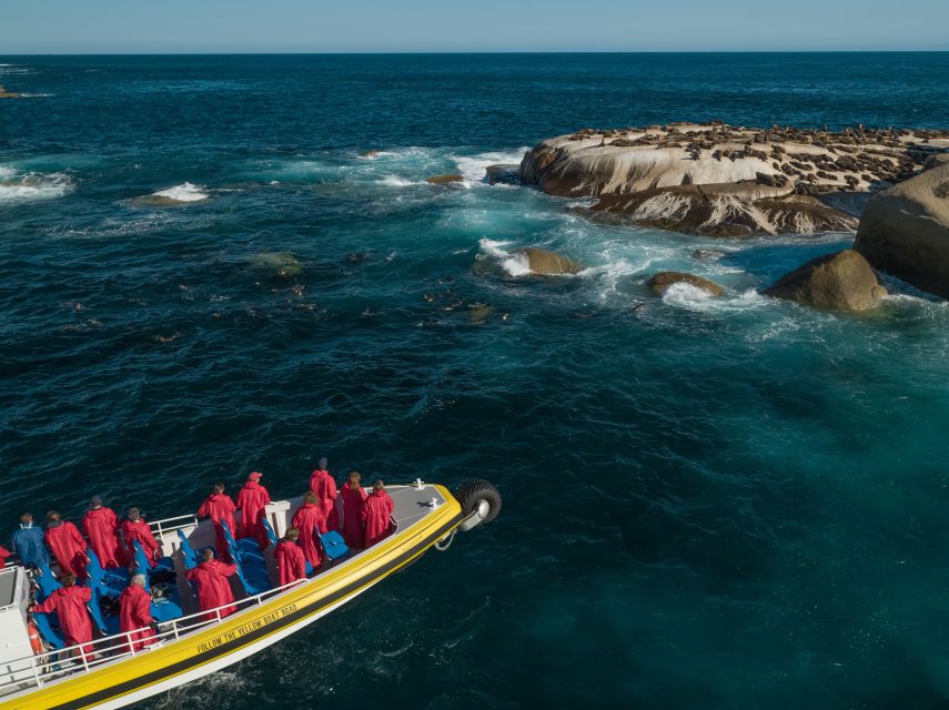 Wilsons Promontory: Afternoon Wilderness Cruise - Key Points