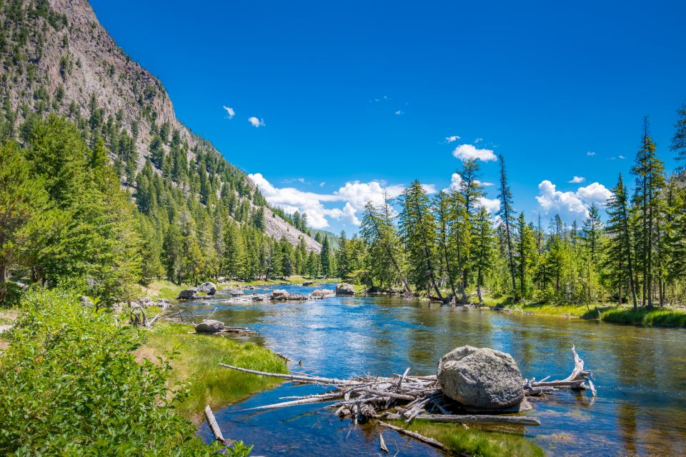 Yellowstone & Rocky Mountain: Self-Guided Driving Audio Tour - Key Points