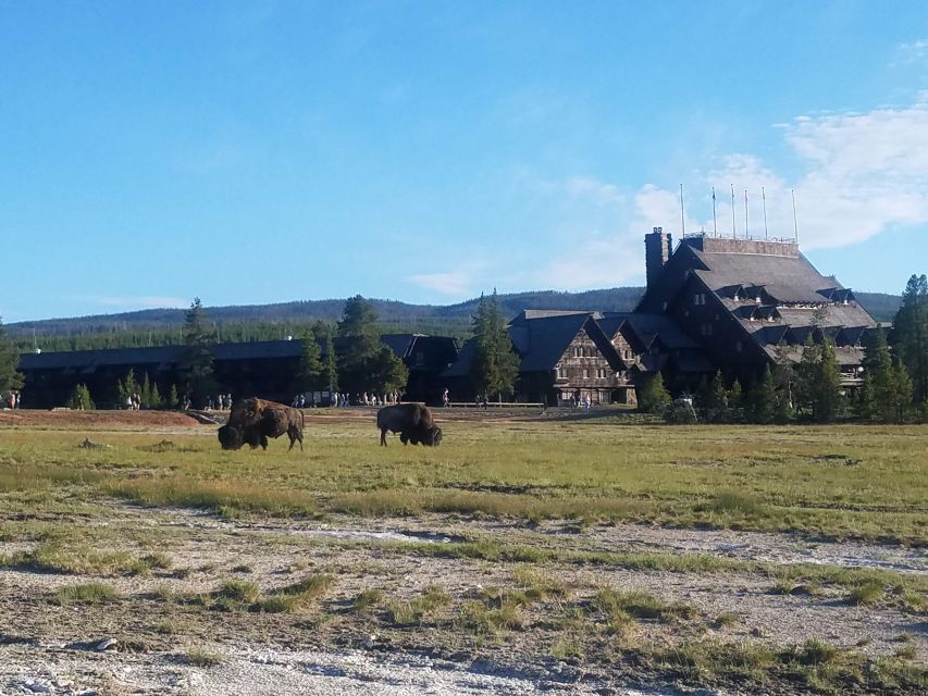 Yellowstone: Upper Geyser Basin Guided and Audio Tour - Key Points