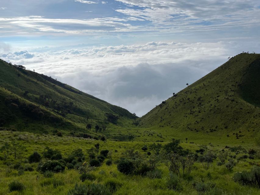 Yogyakarta: Mt. Merbabu 1 Day Hike / Camping Options - Key Points