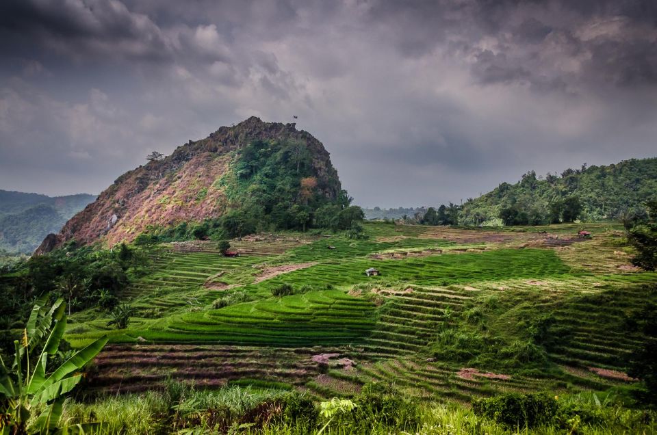 Yogyakarta: Selogriyo, Marvel Amidst Java's Lush Terraces - Key Points