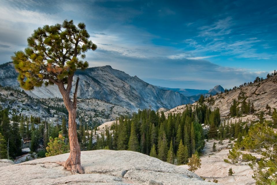 Yosemite National Park: App-Based Audio Guided Driving Route - Key Points