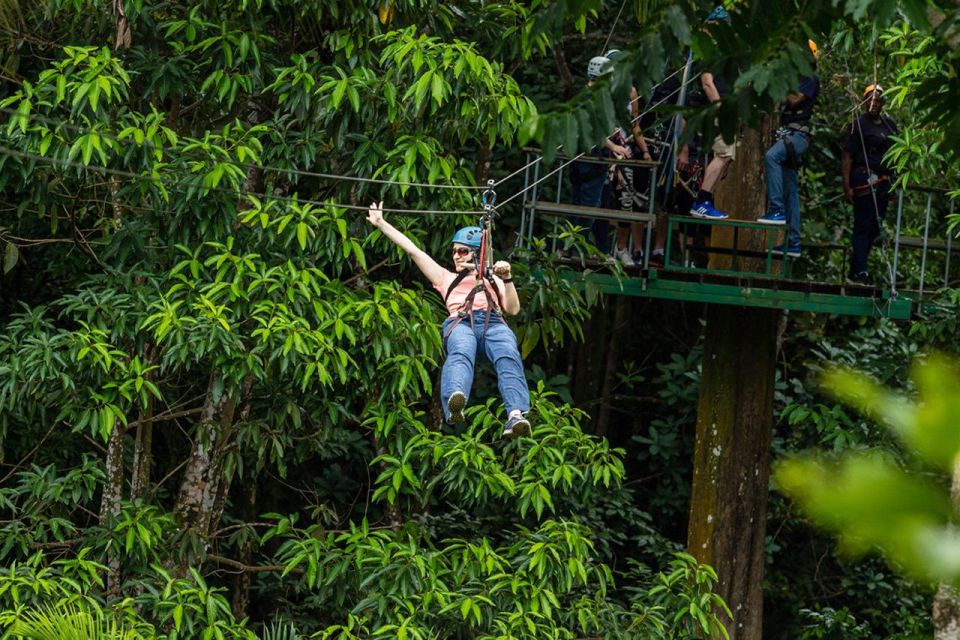 Zipline Over the Dunns River Falls Adventure - Key Points