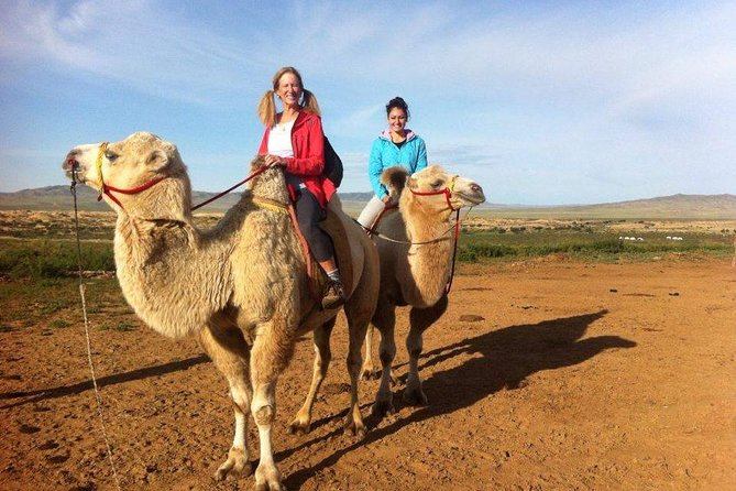 1 Day Semi-Gobi Tour Including Lunch And Free Camel or Horseback Ride - Key Points