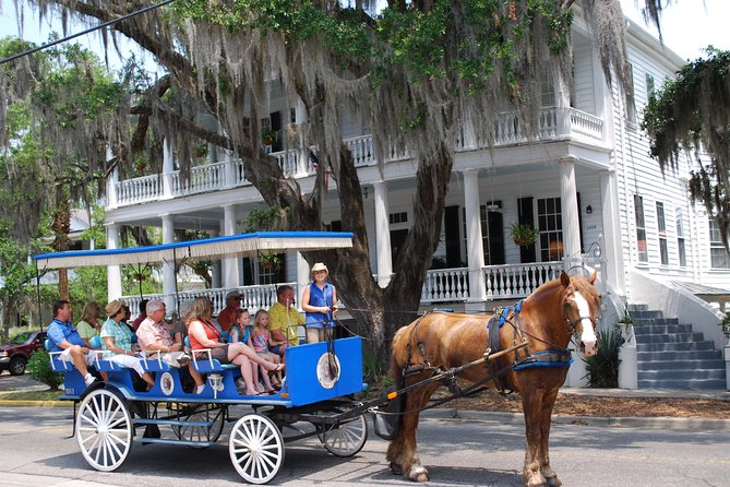 #1 Historical Horse Drawn Carriage Tour - Key Points