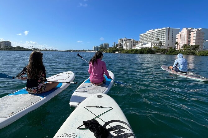 1-Hour Paddle Board in Condado Lagoon - Overview of the Experience