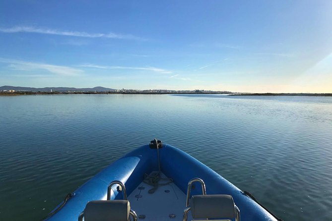 1 or 2 Hour Speed Boat Tour - Ria Formosa - Tour Overview
