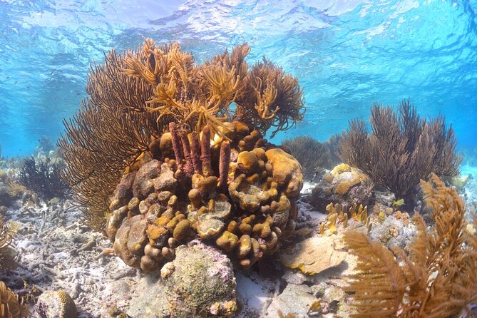 100% Private Snorkel & Sail Charter (Cruisefriendly) - Charter Overview