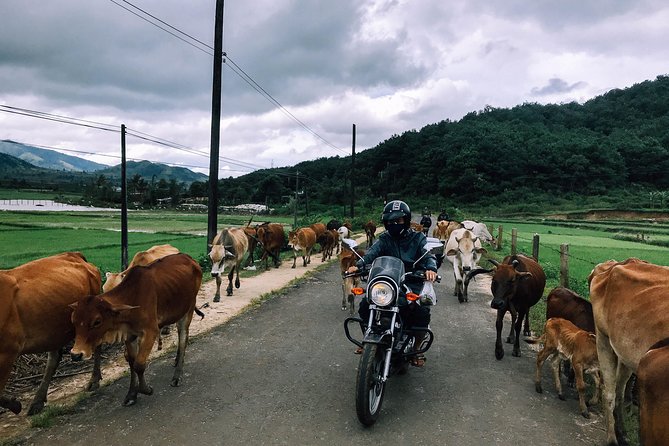 01 Day Easy Rider From Da Lat to Mui Ne by Motorbike