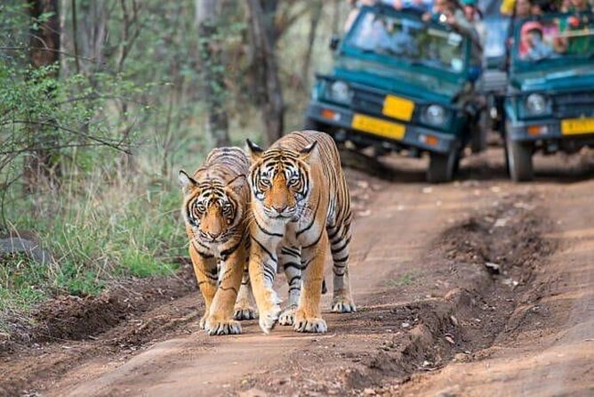 05 Days – Private Luxury Golden Triangle Tour With Ranthambore