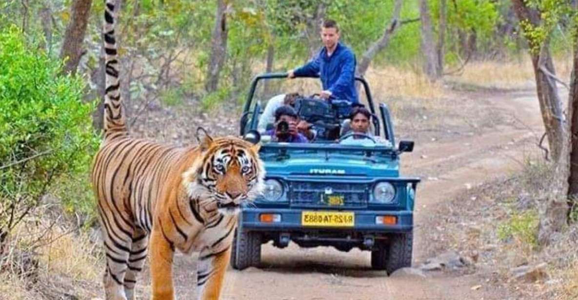 06 Days Golden Triangle Tour With Ranthambore Safari