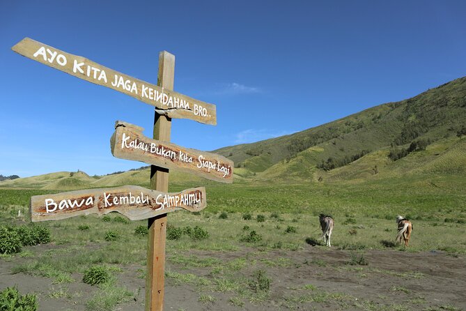 1 Day - Bromo Morning Tour Start MALANG or SURABAYA // 7.30-16:00 - Tour Overview