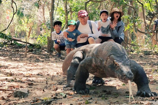 1 Day Komodo Trip By Shared Luxury Fast Boat