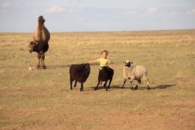 1 Day Semi-Gobi Tour Including Lunch And Free Camel or Horseback Ride