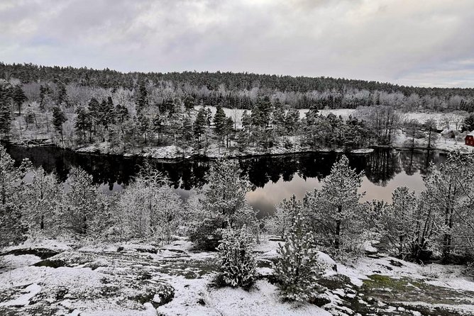 1-Day Small-Group Stockholm Nature Winter Hiking