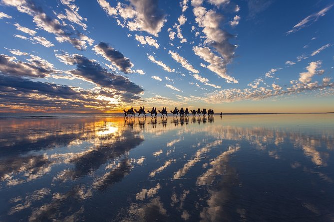 1 Hour Broome Sunset Camel Tour - Experience Highlights