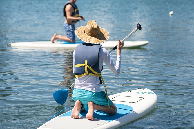 1-Hour Condado Lagoon Paddleboard Rental in San Juan