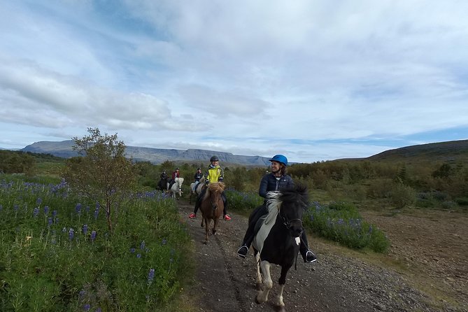 1+ Hour Private Horse Riding Tour From Reykjavík/Mosfellsbær