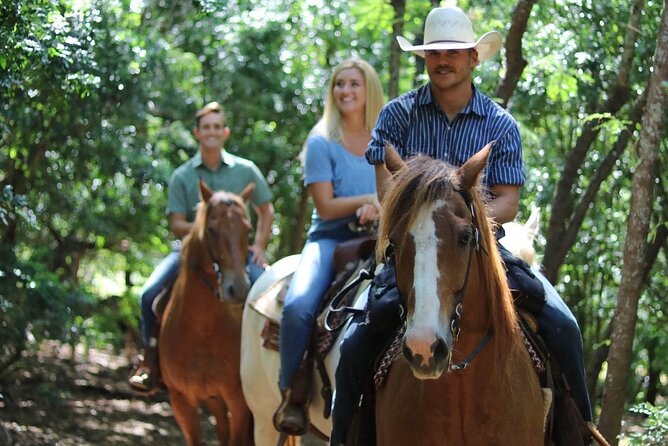 1 Hour Scenic Horseback Ride