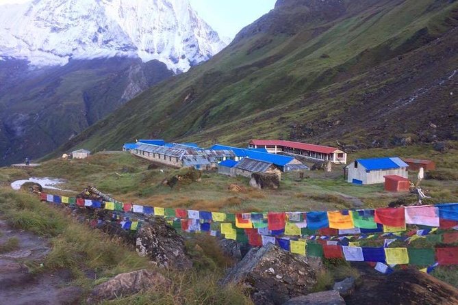 13 Days Annapurna Base Camp Trek - Services and Guides