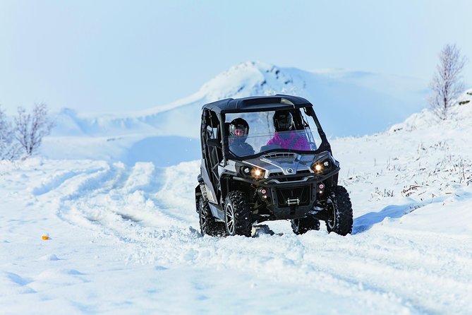 1hr Buggy Adventure From Reykjavik