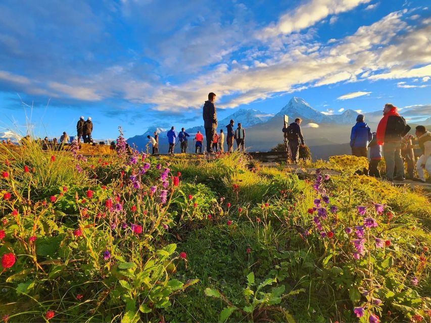 2-Day Epic Ghorepani Poon Hill Guided Trek - Trek Overview and Pricing