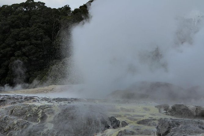 2-Day Hobbiton, Rotorua, Waitomo Caves Tour From Auckland With Accommodation - Tour Highlights