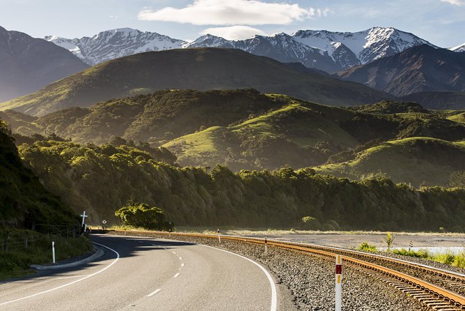 2 Day Kaikoura Whale and Dolphin Tour From Christchurch