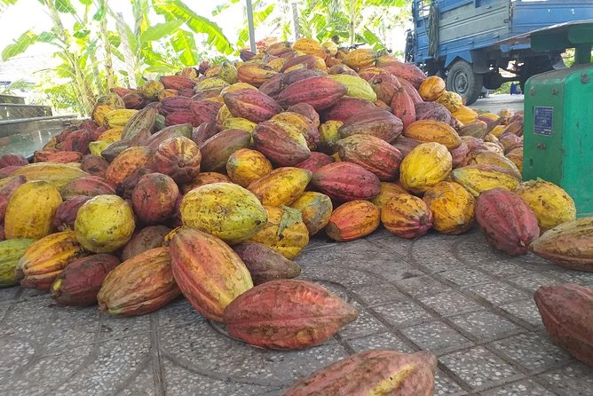 2-Day Mekong Delta With Cai Cang Floating Market From HCM City