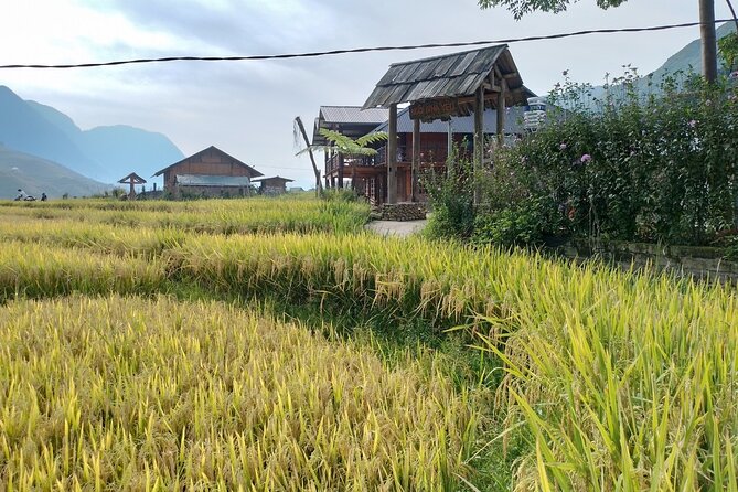 2-Day Sapa Guided Tour Slipping in Homestay From Hanoi