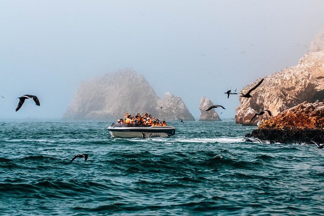 2 Day Tour From Lima: Paracas, Ballestas Island and Huacachina