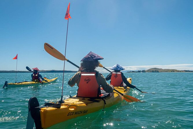 2-Day Waiheke Island Sea Kayak Tour - Tour Highlights