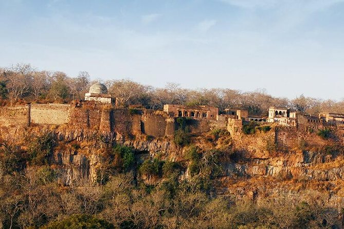 2 Days Ranthambore Tiger Safari With Tickets - Inclusions and Exclusions